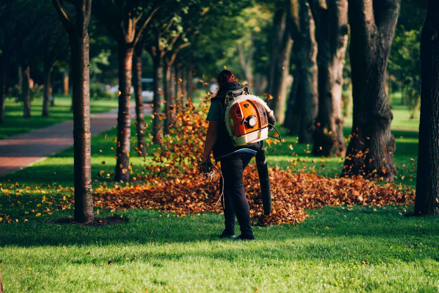 Best Stump Grinding Near Me  in North Lauderdale, FL